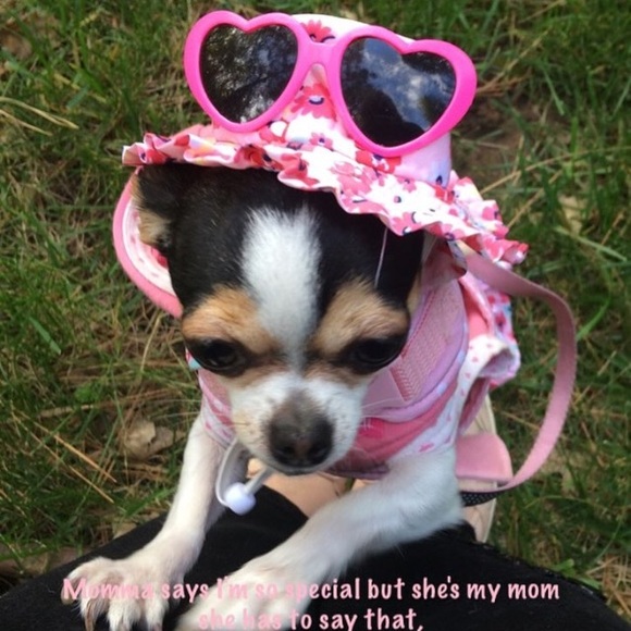 Meet your Posher, Lisette - Picture 3 of 3